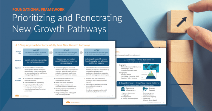 Preview of framework on Prioritizing and Penetrating New Growth Pathways