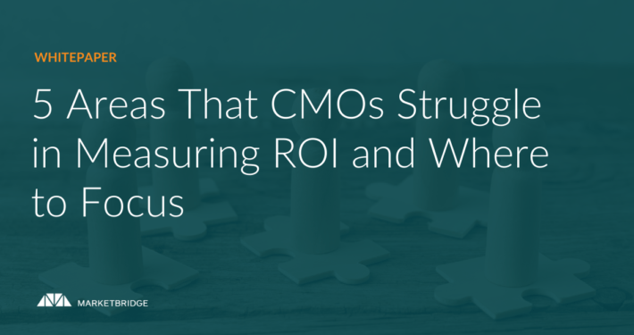 5 Areas That CMOs Struggle in Measuring ROI and Where to Focus