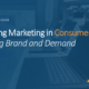 Optimizing Marketing in Consumer Tech: Balancing Brand and Demand