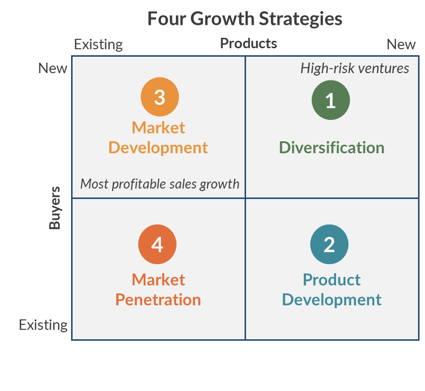 four growth strategies